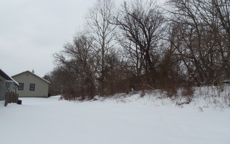 A snowy scene that shows off a part of a forest and the backside of a house.