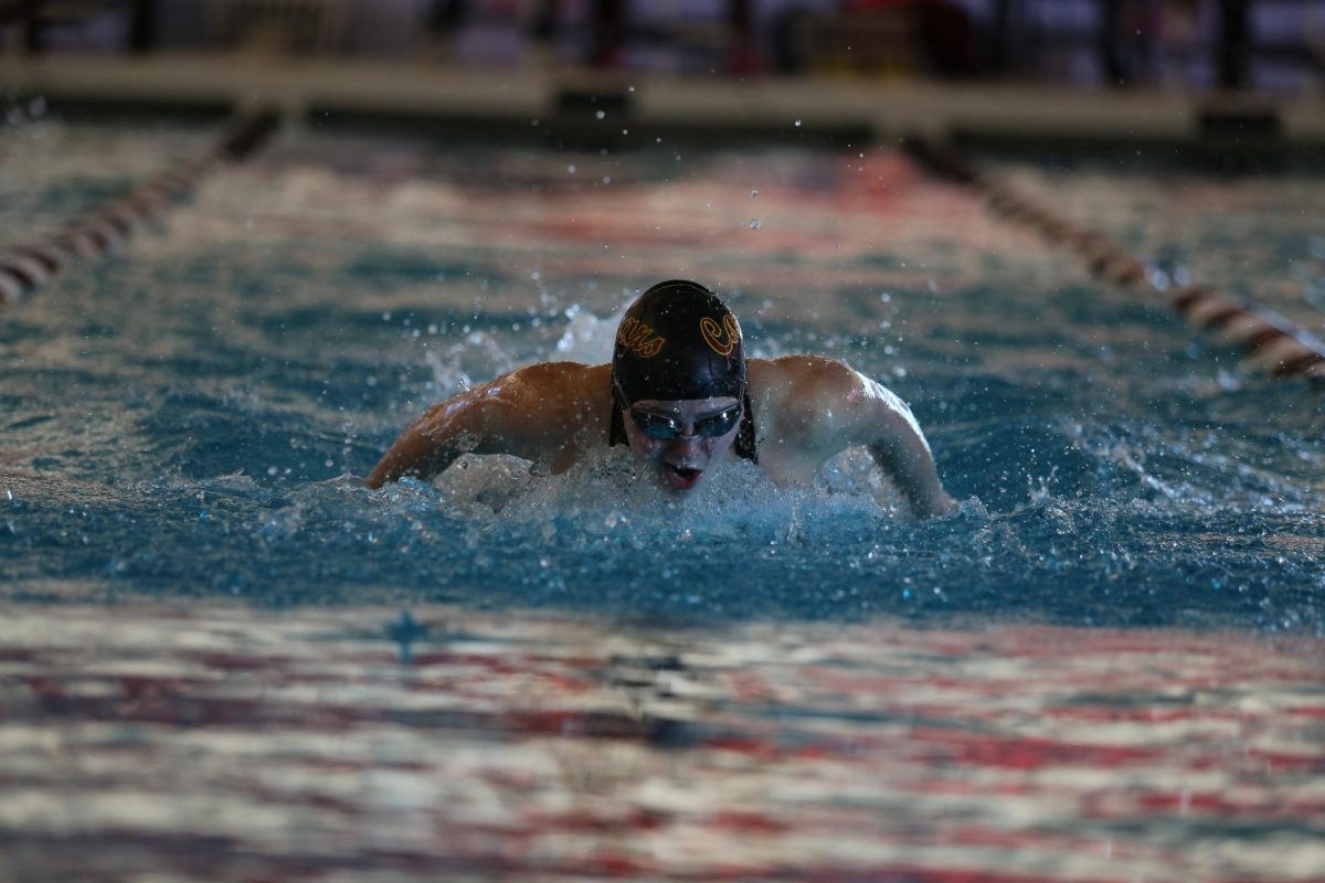 Ashley Freel swims in the recent sectional meet.